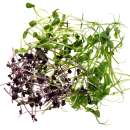 Eden Micro Greens Protein Mix sep