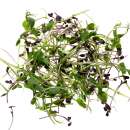 Eden Micro Greens Protein Mix